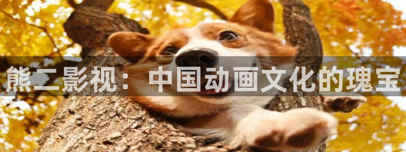 即看影视app